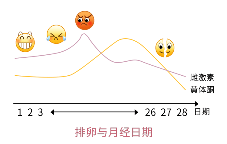 男人每个月有例假吗？——关于男性生理周期的探讨