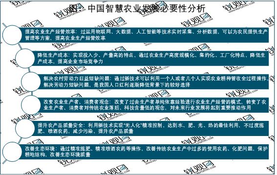 农行科技岗面试江苏分数，探索与洞察