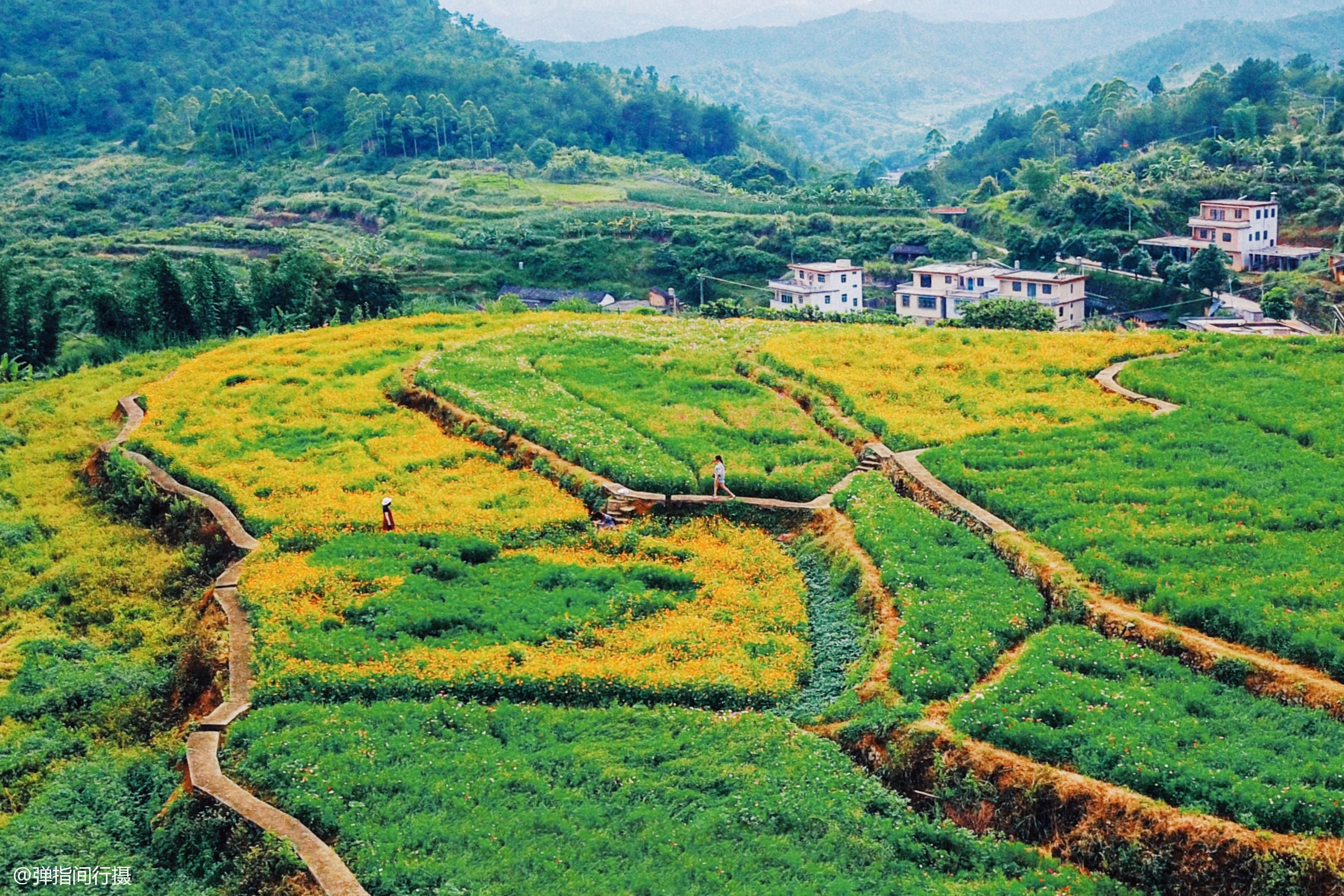 广东省自然有限公司，生态建设的先锋力量