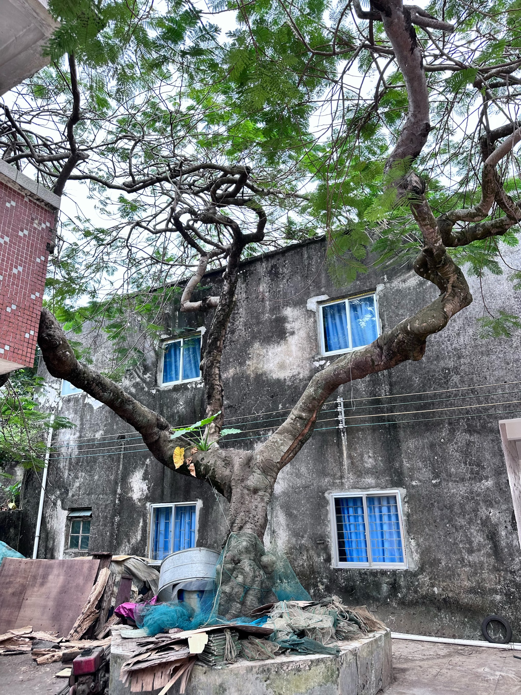 广东省阳江市对岸村，古韵与现代的交融之地