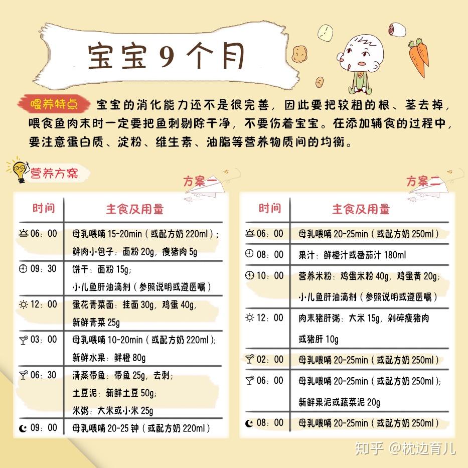 婴儿辅食，12个月营养成长计划