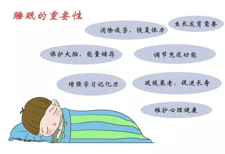 九个月宝宝的睡眠模式与白天合适睡眠时间探讨