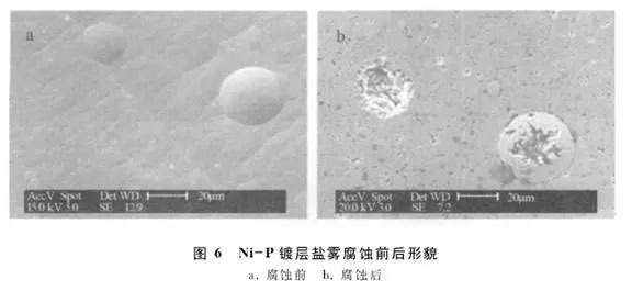 广东省腐蚀防护研究与应用现状