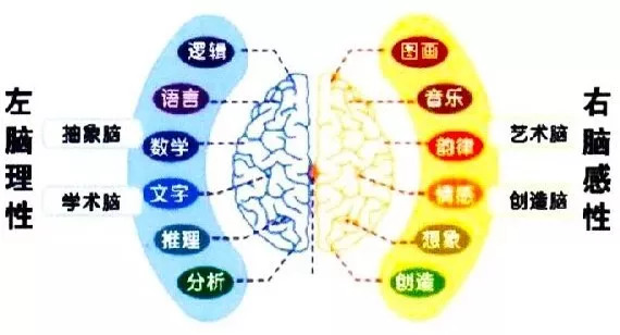 探究19个月是几岁，时间转换与成长阶段分析