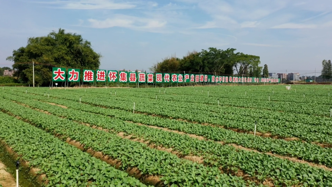 广东种苗有限公司，引领绿色革命，铸就生态未来