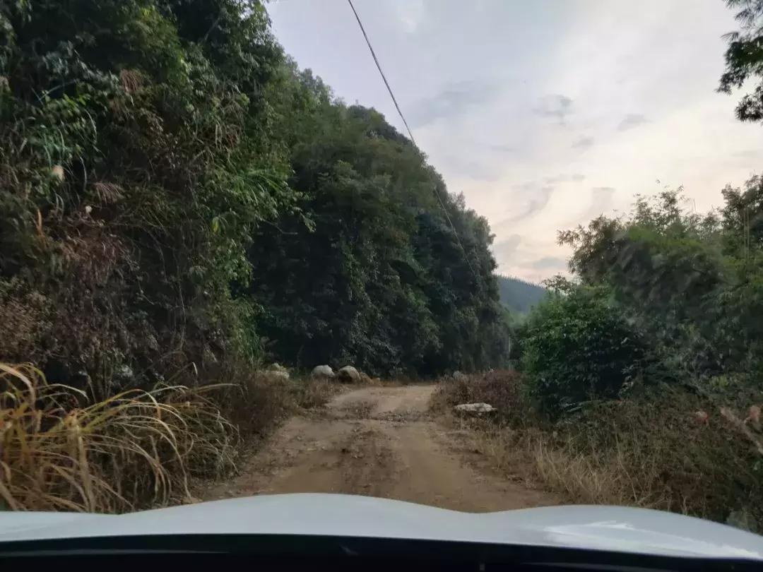 广东省深渡水新闻，探索深渡水背后的故事